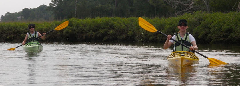 Kayak