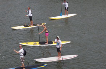 Paddleboards